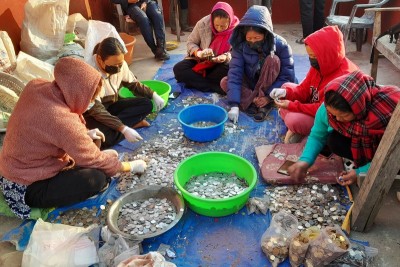 पाथीभरामा चढाइएको १७८ तोला सुन लिलाम गरिँदै